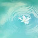 Power vs. Force and Vibrational Energy