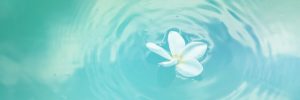 Power vs. Force and Vibrational Energy