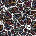 MINDSET, INNER PEACE and PROFITS